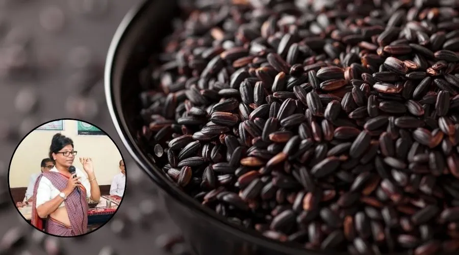 काले चावल की सफल खेती करने वाली सुनीता चौधरी की कहानी  Image