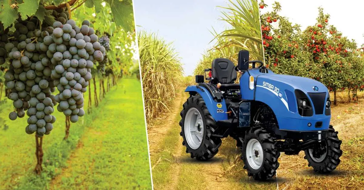 न्यू हॉलैंड SIMBA 30 बागवानी के लिए एक आकर्षक ट्रैक्टर Image