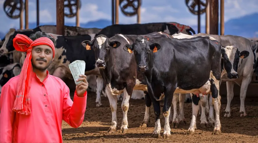 MNREGA Animal Shed Scheme