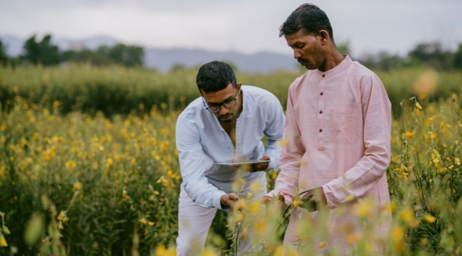  विकसित कृषि संकल्प अभियान के तहत उन्नत खेती की जानकारी