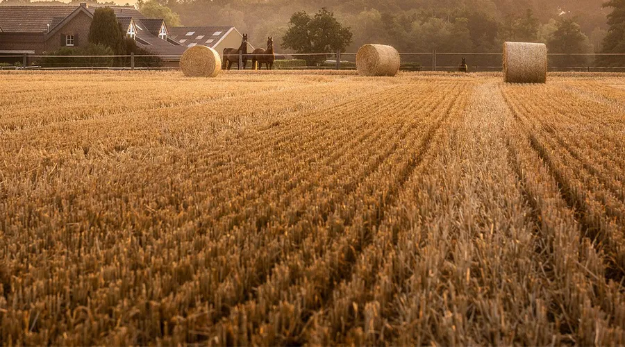 इस राज्य में पराली प्रबंधन के लिए कृषि यंत्रों पर मिल रहा भारी अनुदान Image