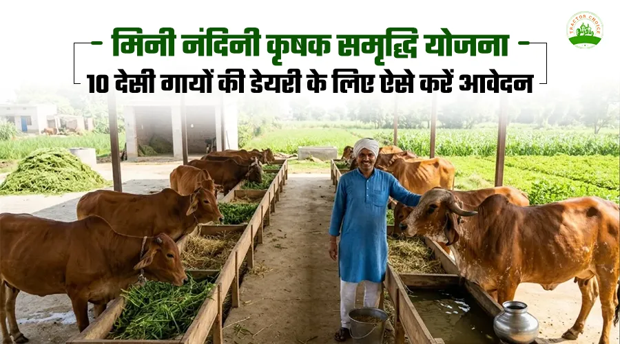 मिनी नंदिनी कृषक समृद्धि योजना: 10 देसी गायों की डेयरी के लिए ऐसे करें आवेदन