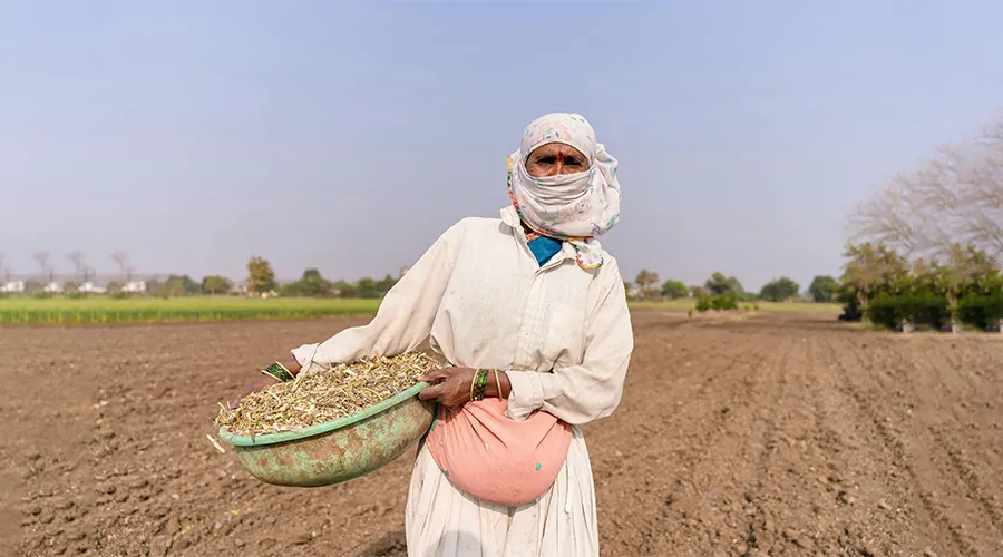 रबी सीजन के लिए खाद की कमी के चलते किसानों की समस्याएं बढ़ीं    Image