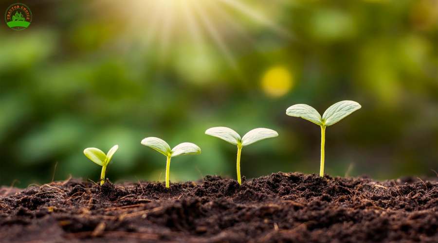 World Soil Day 2023 : विश्व मृदा दिवस क्या है इस साल की थीम?