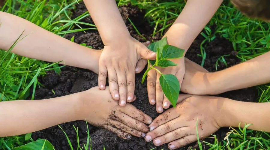 भारत सरकार के 'मातृ वन' कार्यक्रम के तहत 80 करोड़ पौधों का रोपण किया जाएगा Image