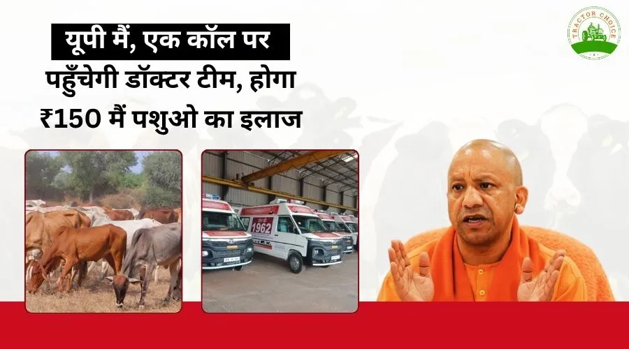 यूपी मैं, एक कॉल पर पहुँचेगी डॉक्टर टीम, होगा ₹150 मैं पशुओ का इलाज Image