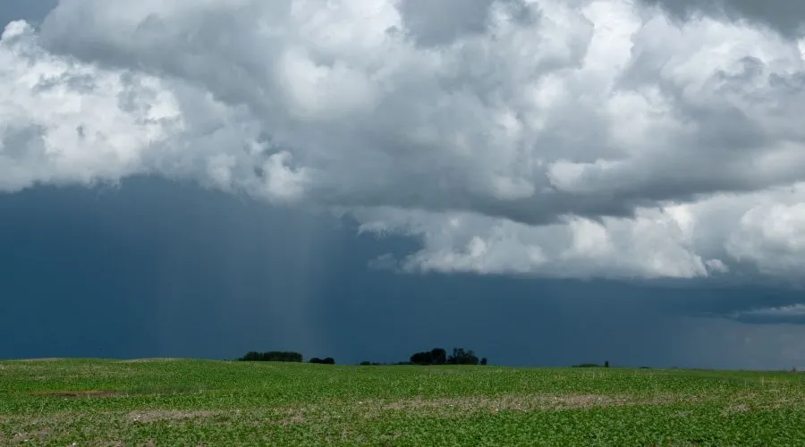 मौसम विभाग ने इन राज्यों में भारी बारिश को लेकर अलर्ट जारी किया