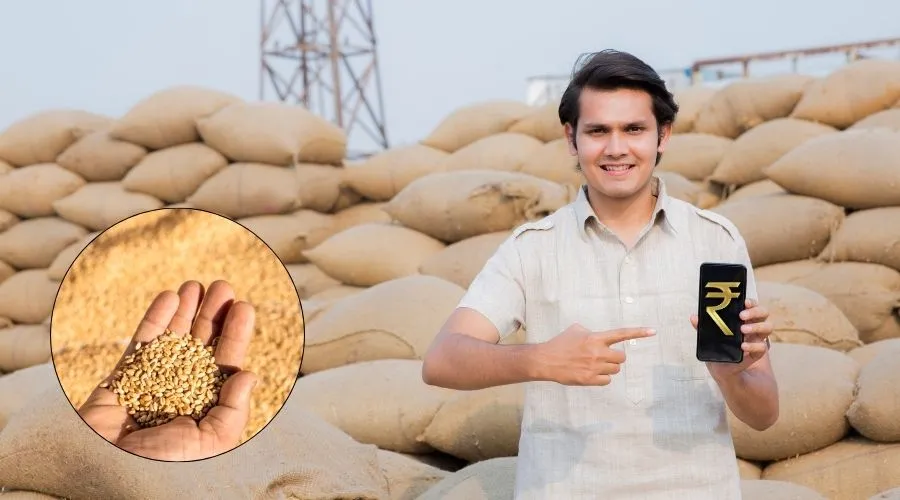 MSP पर 1 अप्रैल से गेंहू खरीद शुरू, 24 घंटे में भुगतान के निर्देश Image