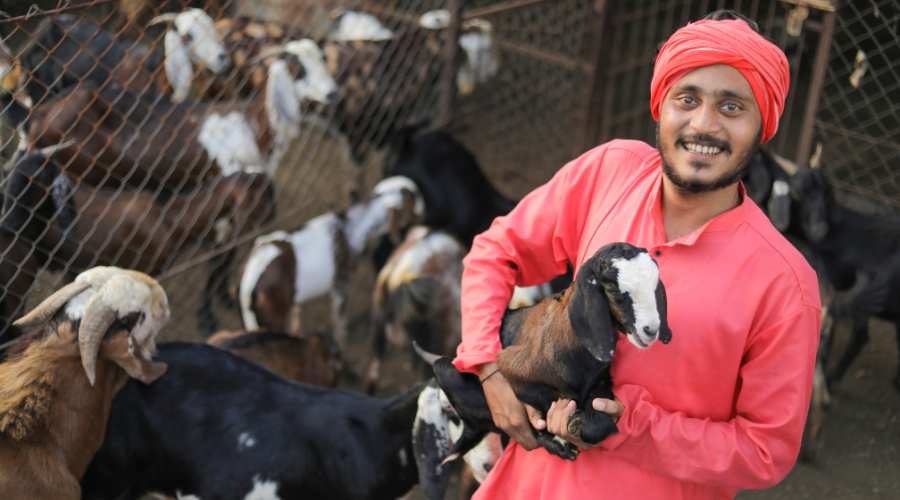 बकरी पालन (Goat Farming) को प्रोत्साहित करने के लिए ऋण और अनुदान 