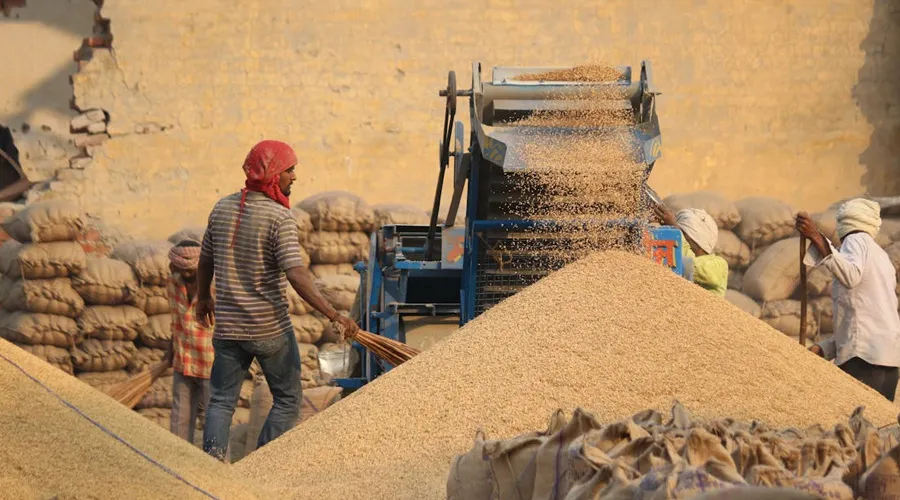 राजस्थान सरकार 10 मार्च से इन जिलों में खोलेगी खरीद केंद्र  Image