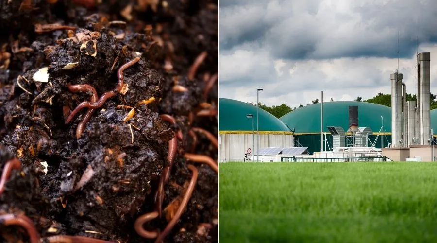 इस राज्य में वर्मीकंपोस्ट और बायोगैस संयंत्र इकाई स्थापना हेतु भारी छूट    Image