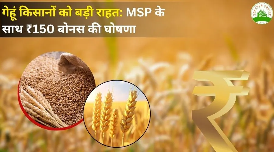 गेहूं किसानों को बड़ी राहत: MSP के साथ ₹150 बोनस की घोषणा Image