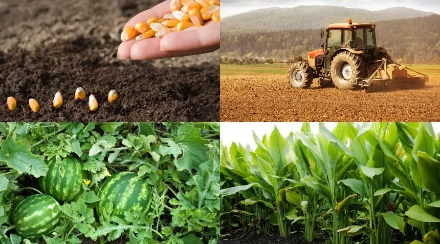 Farming stages with seeds, tractor, watermelon, and crops