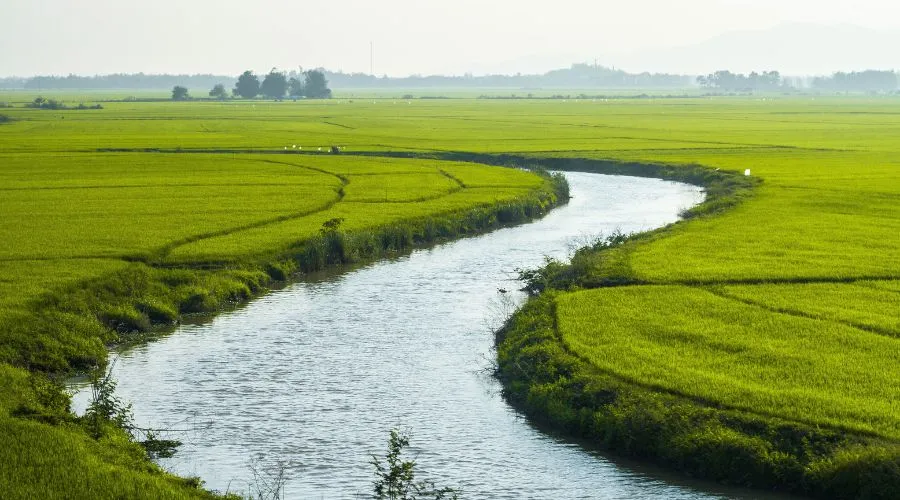 अधिक बारिश से फसलों को होने वाले नुकसान व उनसे बचाव की जानकारी  Image