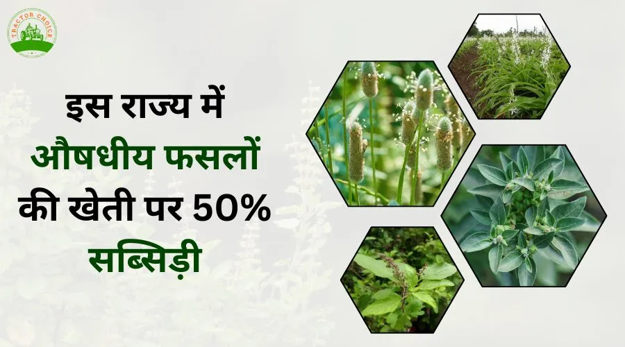 इस राज्य में औषधीय फसलों की खेती पर 50% सब्सिड़ी 