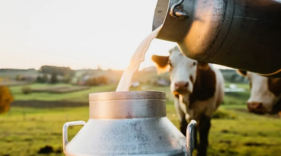 श्वेत क्रांति ने भारतीय कृषकों और महिलाओं की उन्नति में क्या भूमिका निभाई ? Image