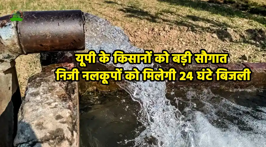 यूपी के किसानों को बड़ी सौगात: निजी नलकूपों को मिलेगी 24 घंटे बिजली