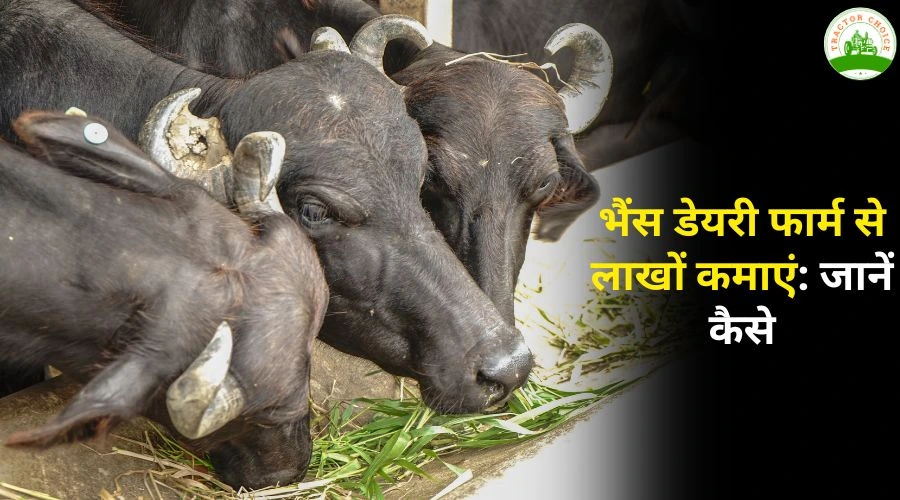 भैंस डेयरी फार्म से लाखों कमाएं: किसानों के लिए पूरी गाइड 2026
