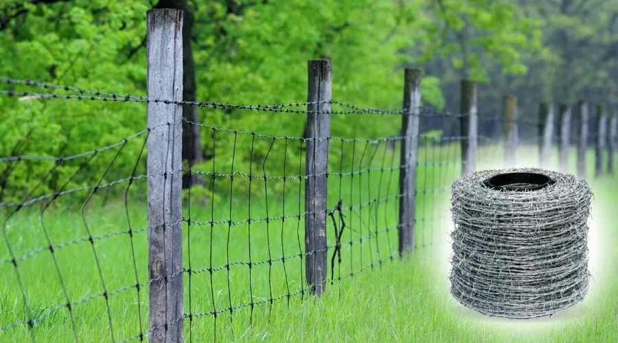 Barbed wire fencing supported by wooden posts in a green field