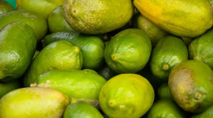 Fresh green lemons piled together