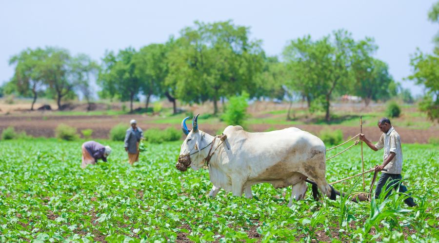 किसान और ग्रामीण अर्थव्यवस्था को मजबूत बनाने के लिए केंद्र सरकार का अहम कदम 