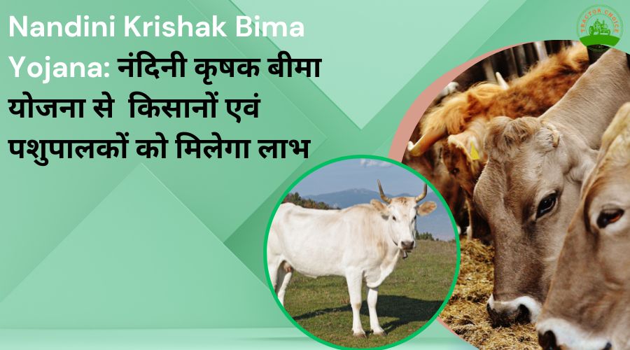 Nandini Krishak Bima Yojana: नंदिनी कृषक बीमा योजना से  किसानों एवं पशुपालकों को मिलेगा लाभ 