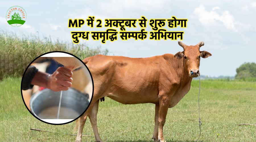 MP में 2 अक्टूबर से शुरू होगा दुग्ध समृद्धि सम्पर्क अभियान 
