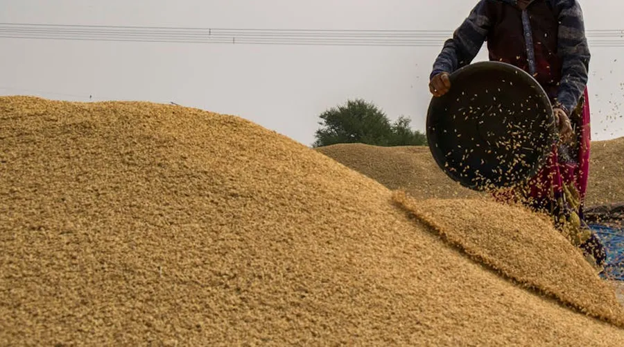 मध्य प्रदेश सरकार ने गेंहू खरीद की तारीख में किया बदलाव   Image