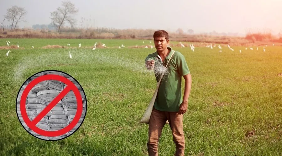 रबी सीजन से पहले चीन ने यूरिया निर्यात पर लगाई रोक, भारत पर असर संभव