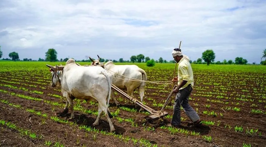 नववर्ष के लिए केंद्र सरकार का किसानों के लिए बड़ा ऐलान   Image