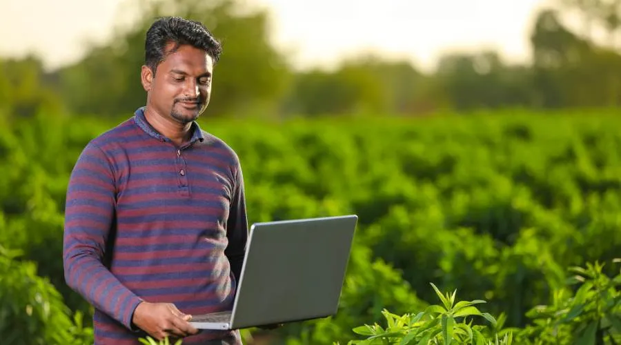 इस राज्य में ग्रामीण युवा करेंगे कृषि योजनाओं की गिरदावरी का कार्य, जल्द आवेदन करें    Image
