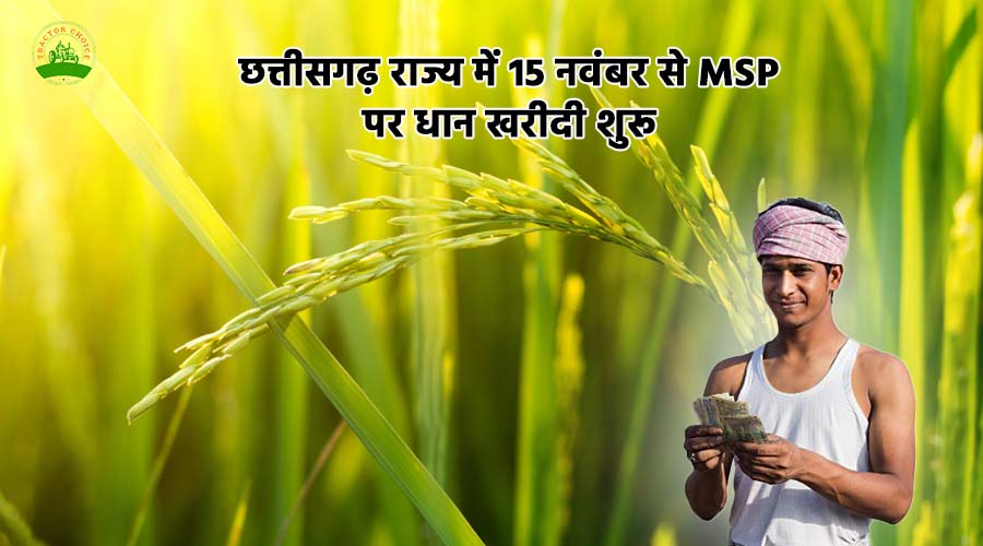छत्तीसगढ़ में धान खरीदी 15 नवंबर से ₹3100 MSP पर शुरू