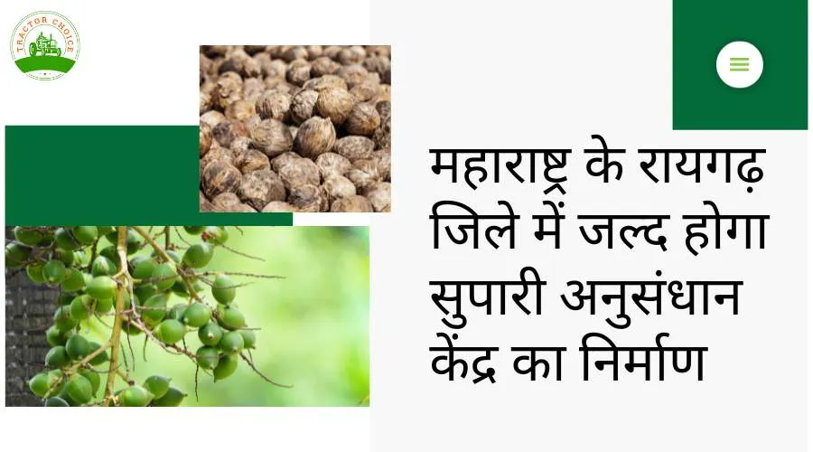महाराष्ट्र के रायगढ़ जिले में जल्द होगा सुपारी अनुसंधान केंद्र का निर्माण Image
