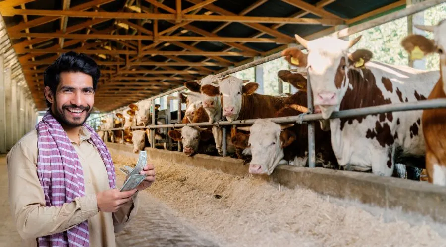 मुख्यमंत्री स्वदेशी गौ-संवर्धन योजना से जुड़ी संपूर्ण जानकारी