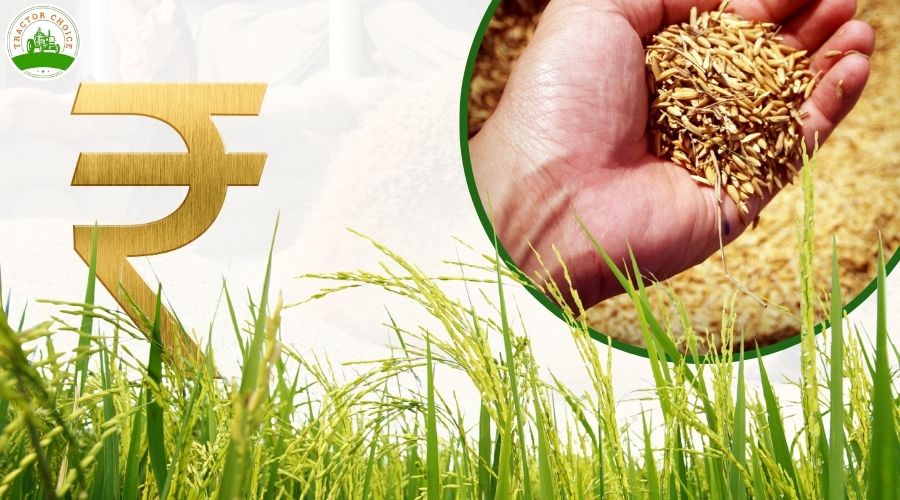 गुजरात में 9 नवंबर से MSP पर खरीफ फसलों की खरीद शुरू