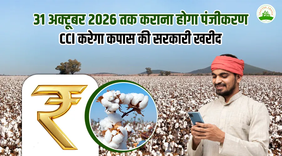 31 अक्टूबर 2026 तक कराना होगा पंजीकरण, CCI करेगा कपास की सरकारी खरीद