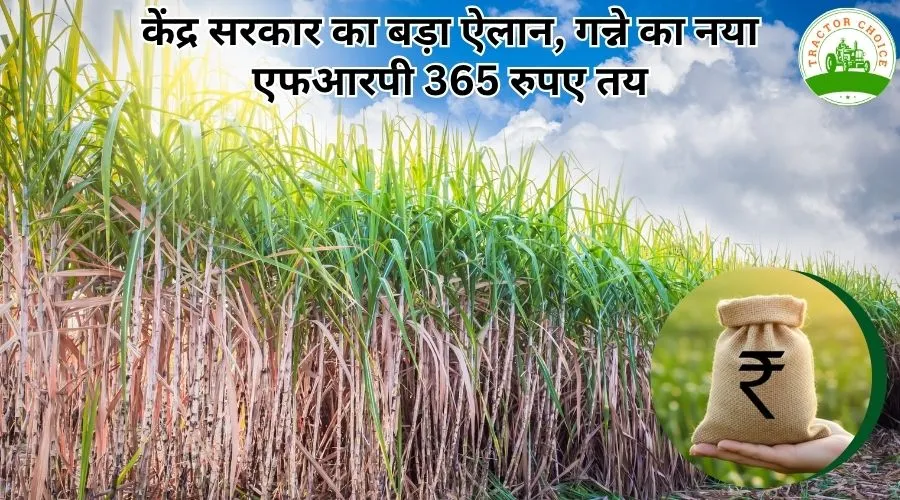 केंद्र सरकार का बड़ा ऐलान, गन्ने का नया एफआरपी 365 रुपए तय Image