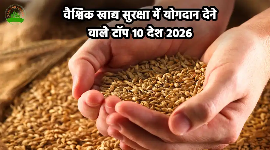 वैश्विक खाद्य सुरक्षा में योगदान देने वाले टॉप 10 देश 2026 Image