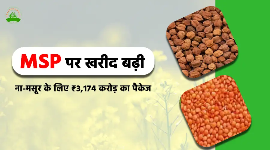 MSP पर खरीद बढ़ी: चना-मसूर के लिए ₹3,174 करोड़ का पैकेज