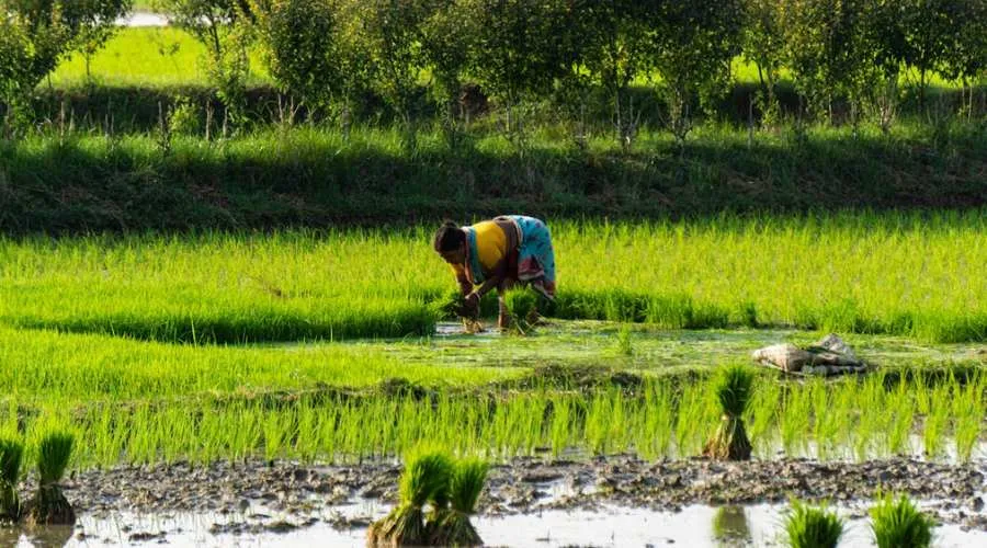 कृषि सखी योजना/कार्यक्रम क्या है और इसका क्या उद्देश्य है ? Image