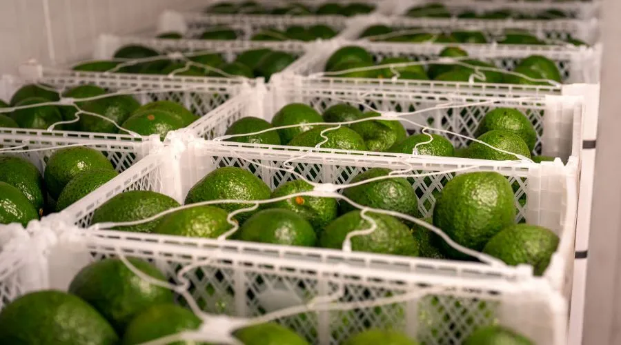 राइपनिंग तकनीक से संबंधित जानकारी    Image