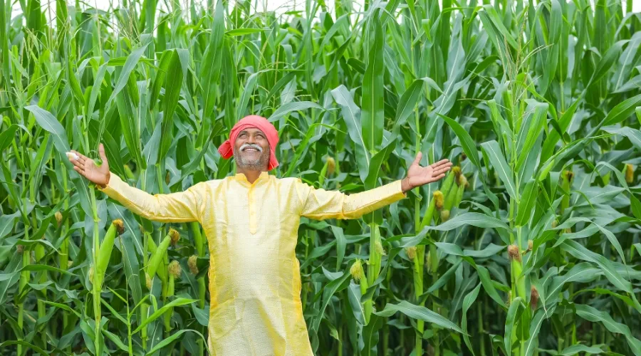 राष्ट्रीय कृषि विकास योजना से संबंधित संपूर्ण जानकारी   Image