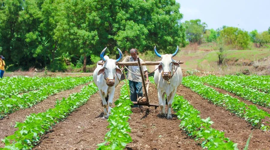 राजस्थान सरकार ने एकमुश्त समझौता योजना की अंतिम तिथि बढ़ाई   Image