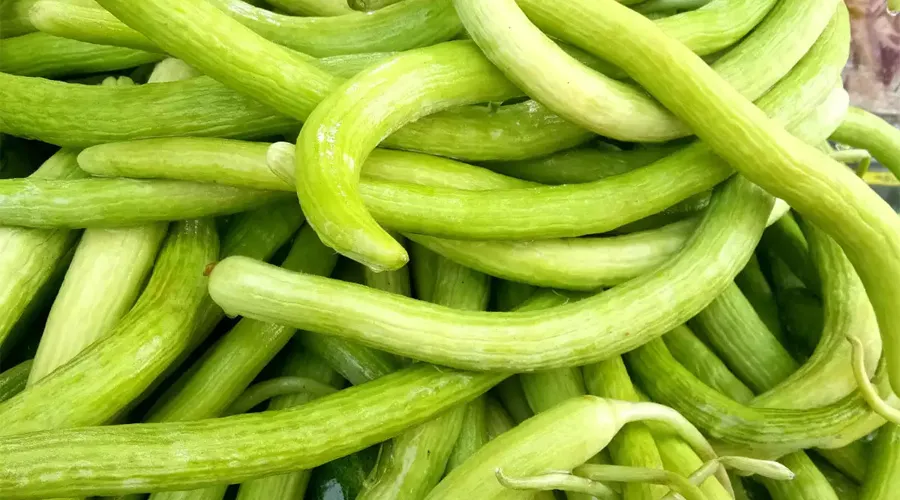 ककड़ी की खेती से संबंधित महत्वपूर्ण जानकारी Image