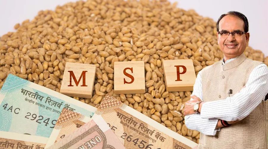 केंद्रीय कृषि मंत्री शिवराज सिंह चौहान ने एमएसपी को लेकर किया बड़ा ऐलान   Image