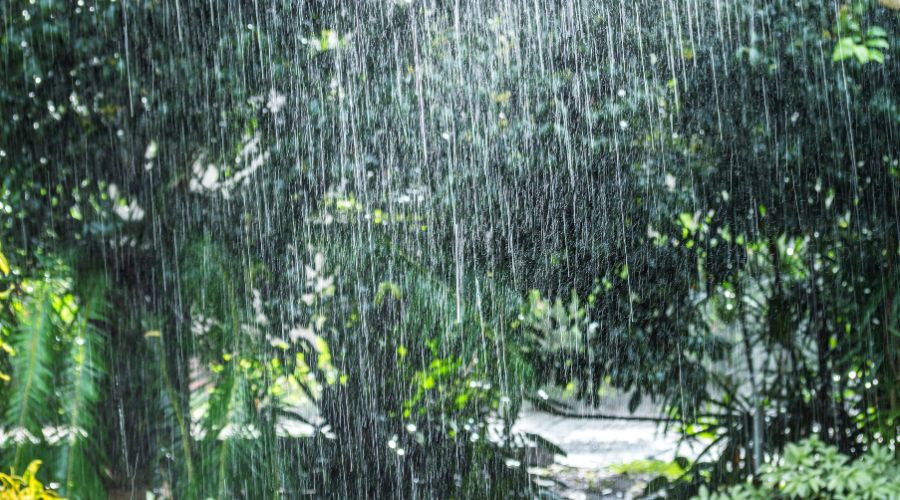 आईएमडी ने इन राज्यों में 7-12 मई तक भारी बारिश का अलर्ट जारी 