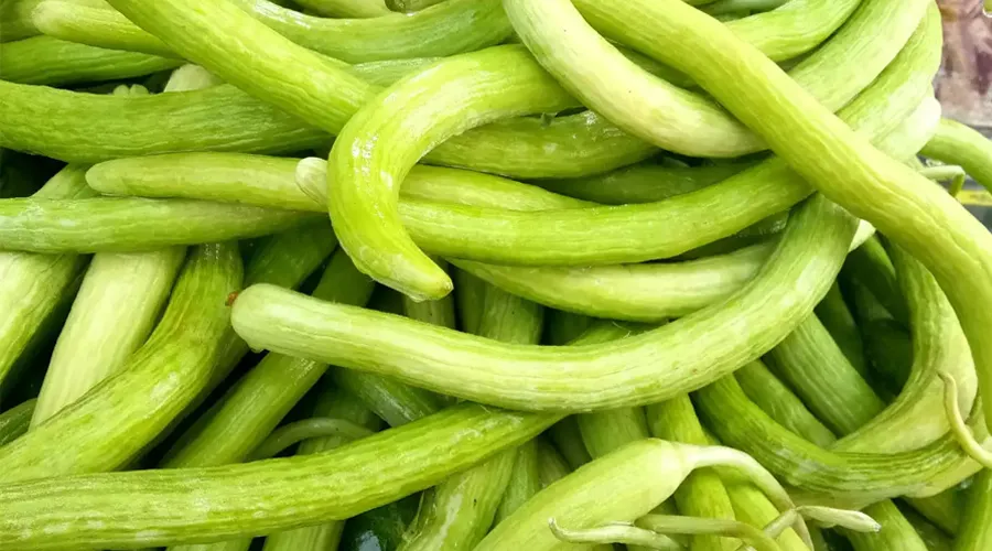 Fresh green snake cucumbers (Kakdi) stacked together in a market
