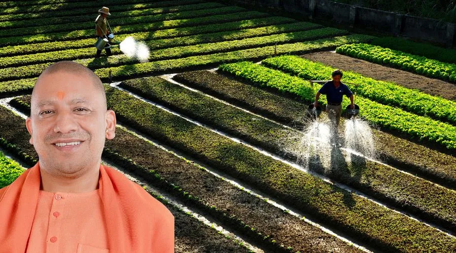 Horticulture and processing schemes in Uttar Pradesh