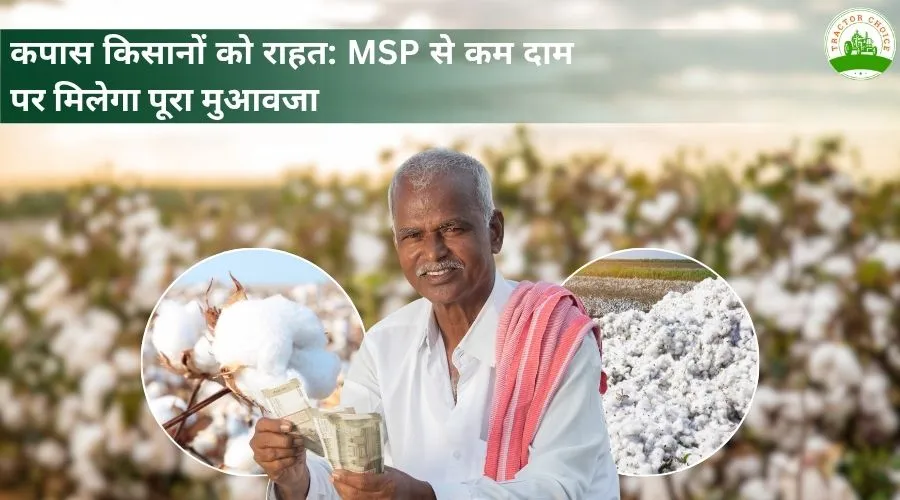 कपास किसानों को राहत: MSP से कम दाम पर मिलेगा पूरा मुआवजा