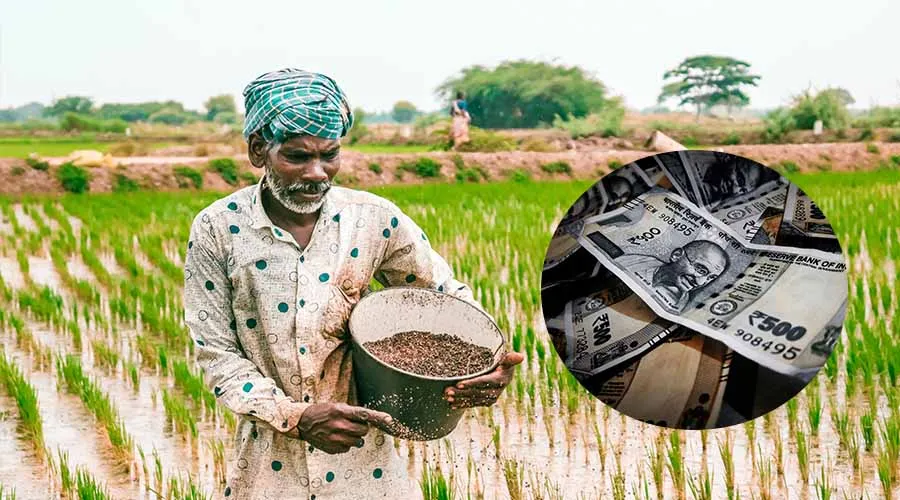 किसानों के लिए एमएसपी में वृद्धि सरकार का अहम फैसला   Image